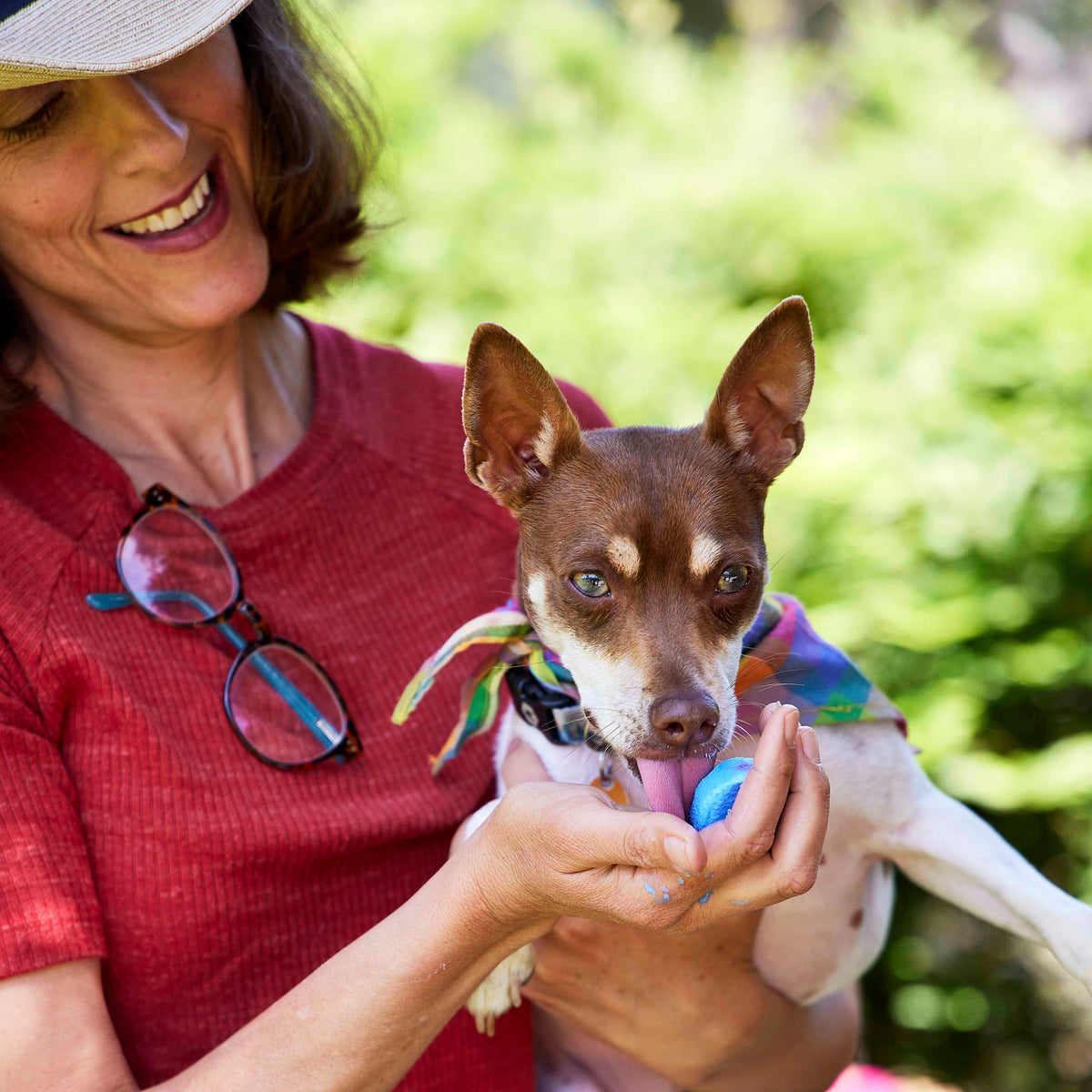 Health Benefits of Fermented Foods for Dogs: Goat's Milk Kefir