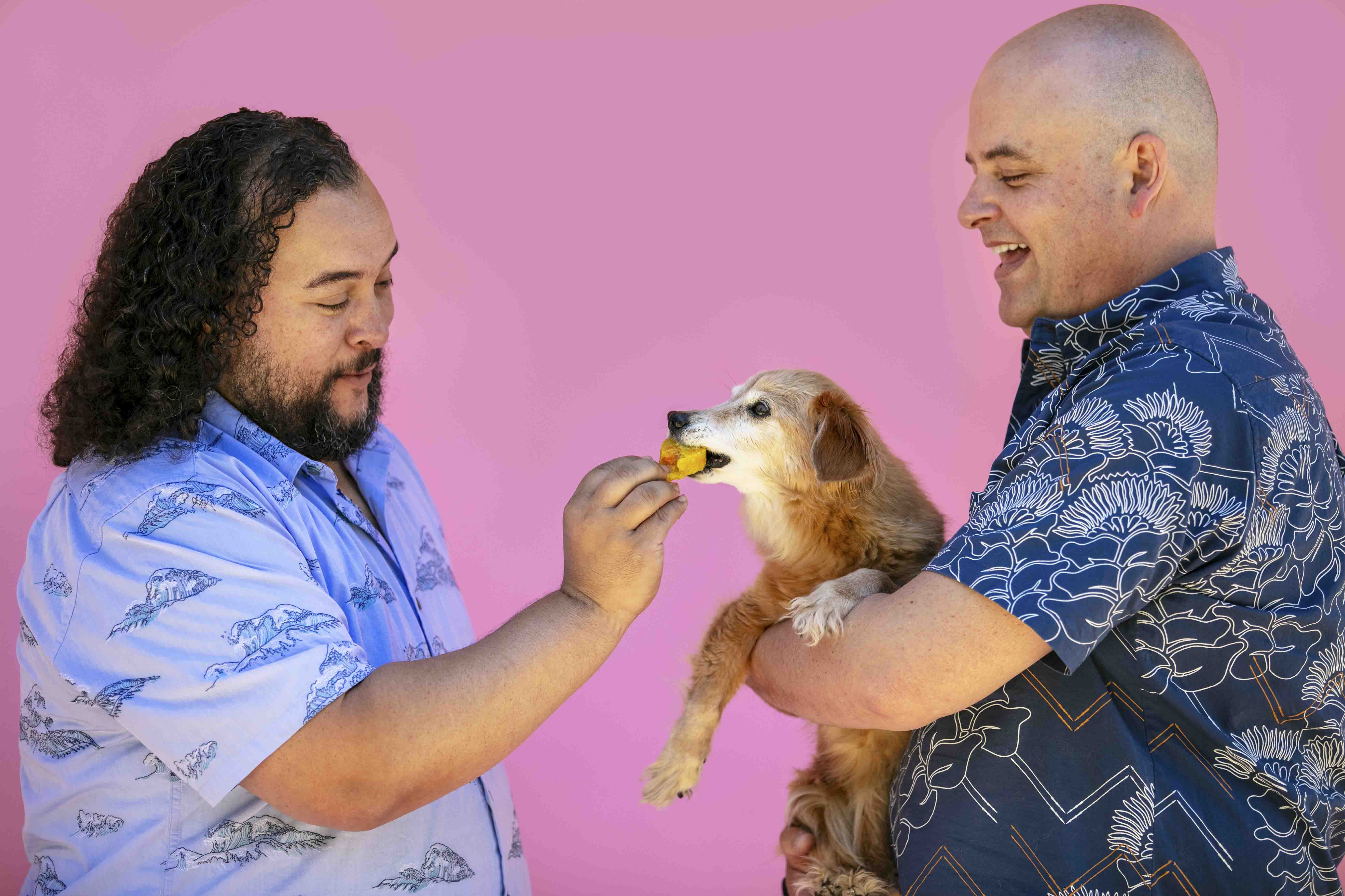 Paws Up for Puppops